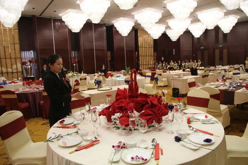 服務之美，匠心之魂——探訪酒店學院會展服務專業風采